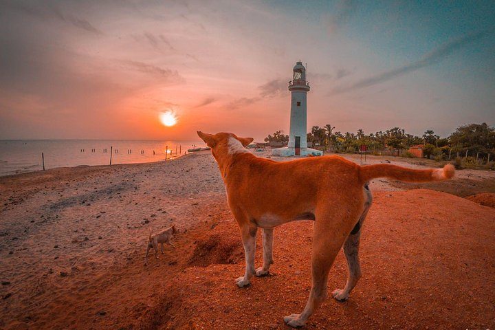 Sri Lanka North Tour - Photo 1 of 17